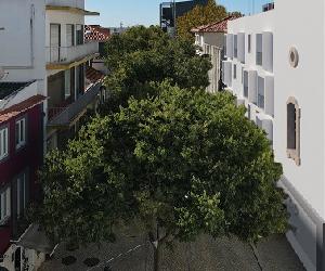 https://static.diarioimobiliario.pt/image/convert/dimo/2023/09/13/avenida2-65018d21945c1169079676.jpg?s=99c8aeb67ee3ca8a356764c05176f8b4