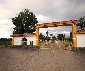 https://static1.hoy.es/www/multimedia/202008/24/media/cortadas/152820043--1248x830.jpg