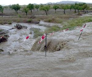 https://static1.laverdad.es/www/multimedia/201903/26/media/cortadas/VF03KVM1-koFD-U701010568263FS-624x385@La%20Verdad.jpg