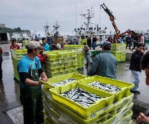 https://static3.diariovasco.com/www/multimedia/202003/24/media/cortadas/arrantzale-kHxE-U100650334100G6E-624x385@Diario%20Vasco.jpg