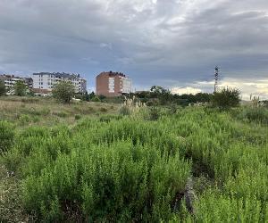 https://static3.elcomercio.es/www/multimedia/202209/19/media/cortadas/76418485--624x468.JPG