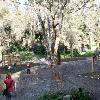 Mejoras en Parque Forestal Gibralfaro