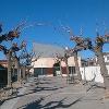 Reurbanización Rambla Pau Casals