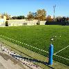 Reforma de césped natural en el CDM Aluche