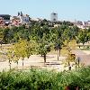 Rearborização e Criação de Zonas de Sombra no Parque Urbano de Santiago - 2º Procedimento