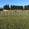 Campo de Fútbol de Hierba Sintética en Nava