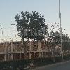 Residencial Portobello Fase I