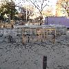 Reforma de la plaza de les Palmeres