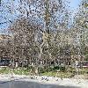 Renovación Pavimentos y Servicios Municipales del Parque y Calle del Muelle