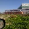 Pabellón Polideportivo en Lobosillo