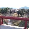 Recuperación Hidrológica del Cauce y Ribera del Río Quipar