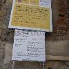 Intervenciones sobre la antigua Catedral de Santa María de la Asunción de Nuestra Señora en Cartagena fase I