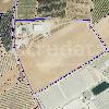 Ampliación de Almacén Agrícola Paraje Pichardo