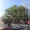 Hotel Plaza Gavidia (Hotel Thompson by Hyatt Sevilla)
