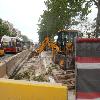 Implantación carriles bus en el Paseo Joan de Borbó