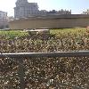 Rehabilitación Fuentes Plaza Catalunya