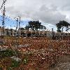 Construção de moradias em Birre
