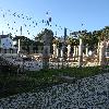 Moradia unifamíliar na rua dos Crisântemos