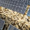 Planta Solar Fotovoltaica en Hibridación PFV El Coto