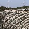 Proyecto híbrido (eólico y solar) en el pago de Balbaína