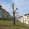 Requalificação do Conjunto Habitacional de Bairro do Outeiro - Freamunde