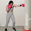 Gimnasios Bhout
