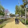 Remodelación del Paseo de la Salzareda: Fase III