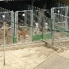 Rehabilitación Instalaciones de la Protectora