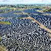 Planta Solar Fotovoltaica Elawan Villanueva I