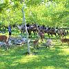 Instalación agropecuaria en Soano