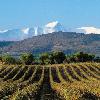 Proyecto Winesolar