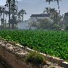 Trabajos de resturación hidrológica forestal y mejora ambiental.