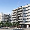 Midgia Homes