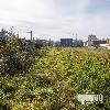 Execução do Parque Urbano de Sinçães Norte - Gavião