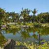 Ejecución de Hide, Lago y Caminos en el jardín botánico del Palmetum