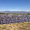 Parque Fotovoltaico HEZE