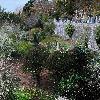 Jardim Romântico de Sintra. Fase 2