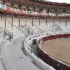 Reforma Plaza de Toros Tolosa Fase 4